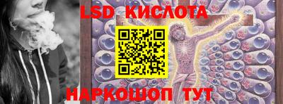 сатива Кингисепп