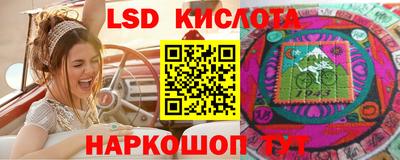 сатива Кингисепп