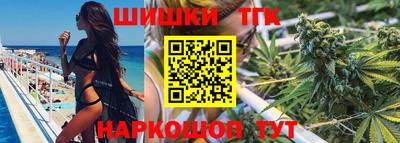 сатива Кингисепп