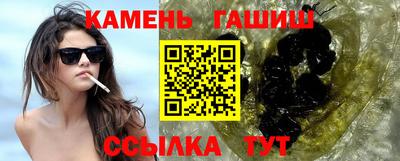 сатива Кингисепп