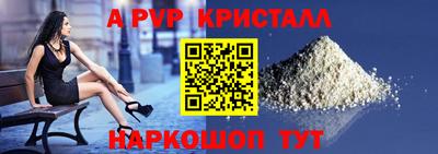 сатива Кингисепп