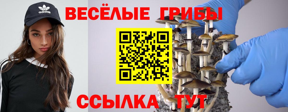 Галлюциногенные грибы Magic Shrooms Коркино